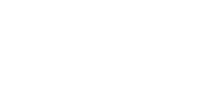  Electronic Log and Information System